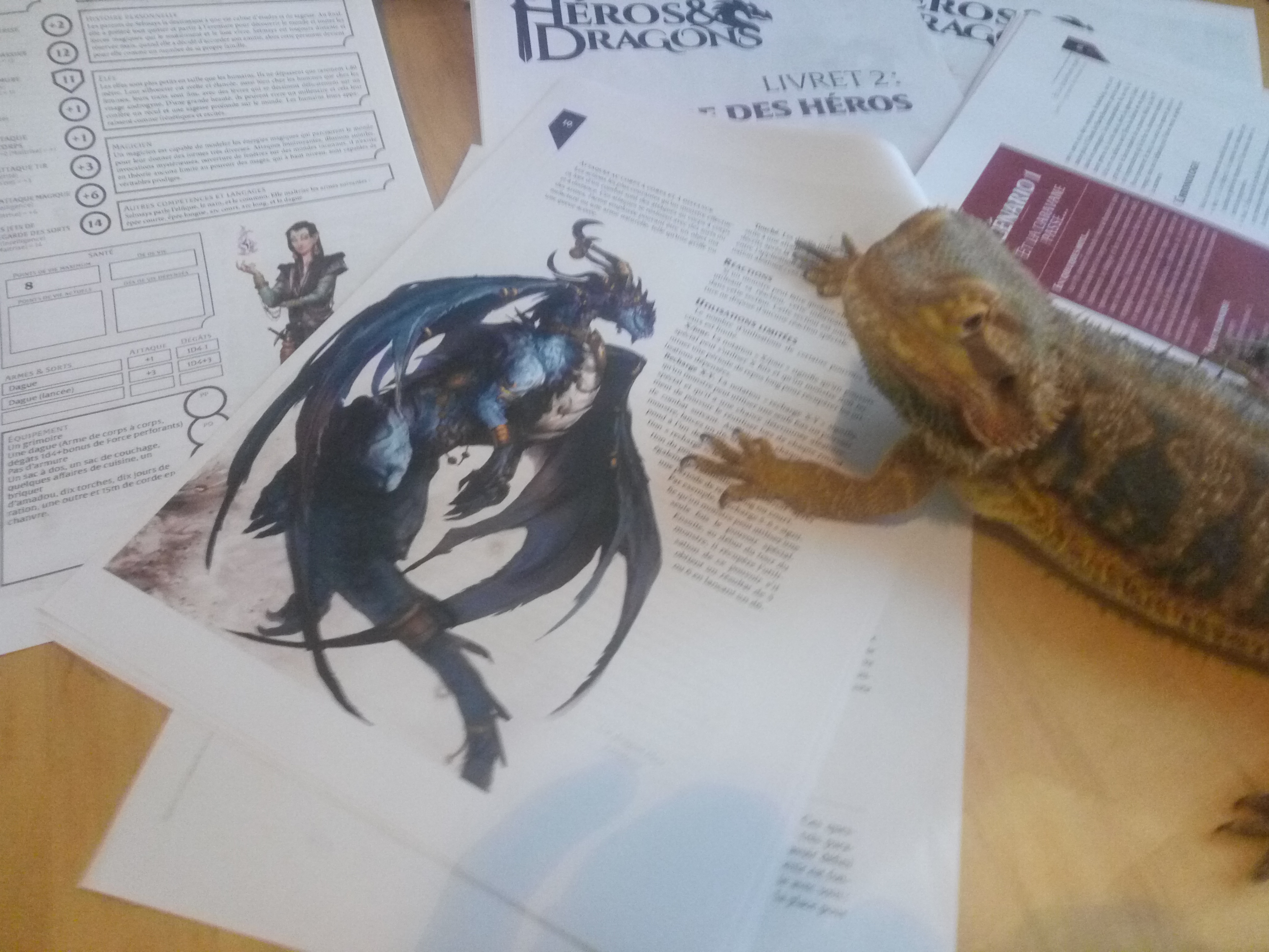 Merlin, le dragon, devant une illustraton d'héros & dragons.